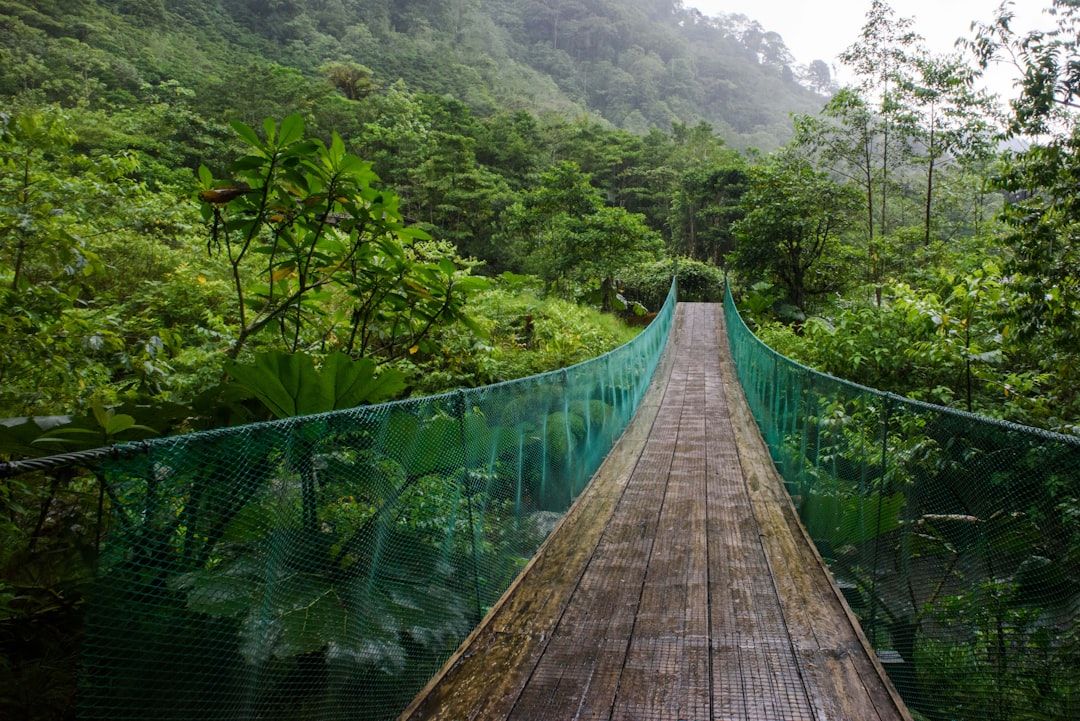 Rainforest in Costa Rica
